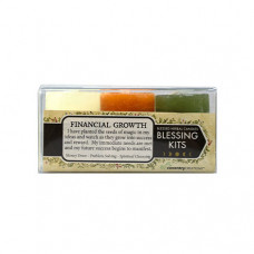 Blessing Kit Financial Growth 