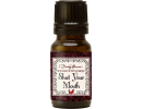 Wicked Witch Mojo Oils by Dorothy Morrison