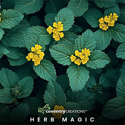 Oct2024 HerbMagic 400px